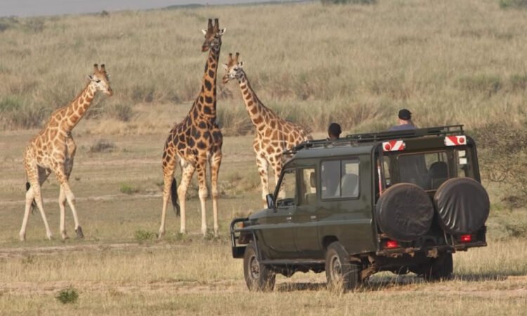 Akagera National Park